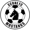 Scone FC 12/01-2019 Logo