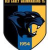 Old Carey Logo