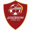 Boomerangs F.S Logo