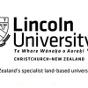 Lincoln University Men Logo