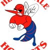 U16B HH Hornets 1 Logo