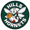 Hills Hornets U14 Girls  Logo
