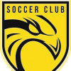 Drysdale Soccer Club Yellow Logo