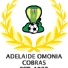 Adelaide Cobras Logo