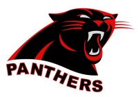 U17 Boys Panthers Gold