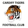 Cardiff City FC Logo