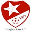 Dingley Stars FC Logo