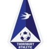 Thornbury Athletic FC Seniors Logo