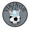 MPH Vikings FC Warriors Logo
