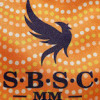 Stormbirds SC Orange Logo