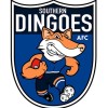 Southern Dingoes Logo