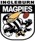 Ingleburn Magpies U13 Div 1