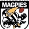 Ingleburn Magpies U13 Div 1 Logo
