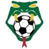 Uki Pythons (Women's League 2) Logo