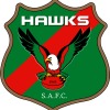 Sandgate Hawks Over 35s Logo