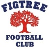 Figtree Flames W4 Logo