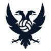 Dandenong Volleyball Club Logo