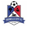 Gosnells City FC (White) Logo