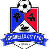 Gosnells City FC Logo