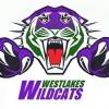 Westlakes Wildcats FC Logo