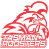Tasman U11 Logo