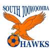 Hawks Raven Logo