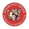 Diamond Creek Blue Logo