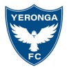Yeronga Eagles Metro Team B Logo