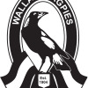 Wallan Logo