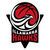 Illawarra Hawks Red Logo