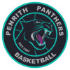 Davlin Security Panthers Logo