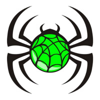 Hornsby Ku-Ring-Gai Spiders Black