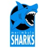 Merimbula Sharks Logo