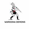Waroona Reserves Logo