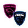 Spring Hills FC Aaron Logo