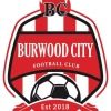 Burwood City FC U12 Logo