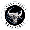 Murrumbidgee Mavericks Logo