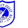 Ferntree Gully Logo
