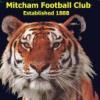 Mitcham Yellow Logo