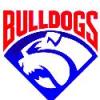 Gunnedah & District Bulldogs AFC Logo