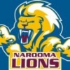 Narooma Lions FC Logo