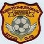 Robertson Rovers Gold Logo