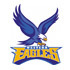 Western Eagles Logo
