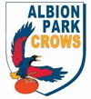 Albion Park 2016 U15s