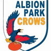 2019 Albion Park Crows U14 Girls Logo
