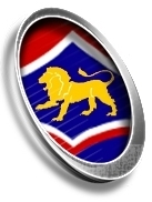 Huonville Lions Gold U10
