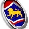 Huonville Lions U13 Logo
