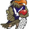 Edithvale Aspendale Eagles Logo