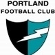 2020 Portland / Rosewater U16.5 Logo