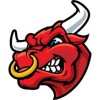 Karingal Bulls  Logo